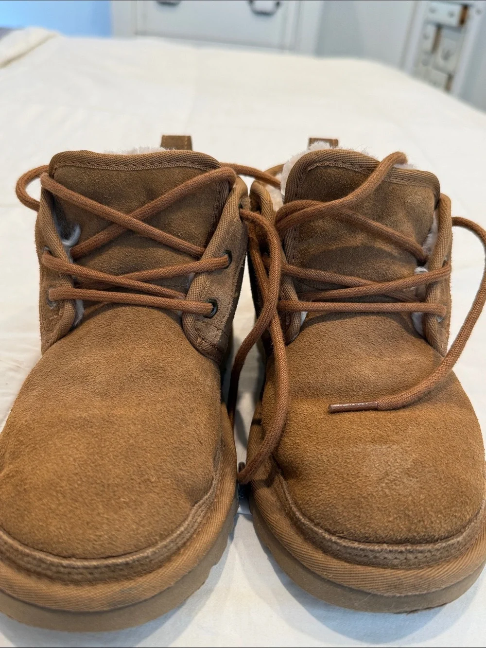 UGG Chestnut Suede Lace-Up Ankle Booties